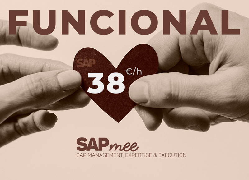 An offer of SAP functional at 38€ per hour
